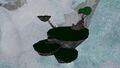 Thumbnail for version as of 23:26, 4 February 2025