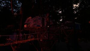 Treehouse at Dusk.jpg