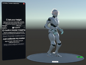 Full Body Calibrator And Panel