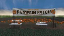 Table with tools for the player to use to carve the pumpkin. A pumpkin field behind the fence and table.